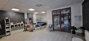 Resita Central Sp.Com.Judecatorie - imagine 4