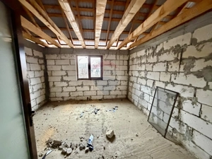 Casă Bolotesti / Vitanestii de Sub Magura - imagine 12