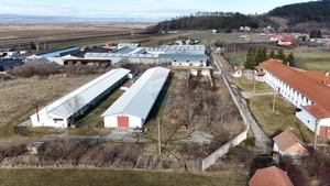 Teren industrial 1.729 mp I Demolare + construcție hală Teliu - imagine 11