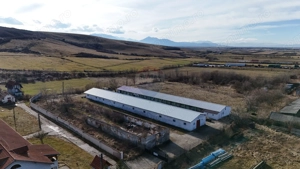 Teren industrial 1.729 mp I Demolare + construcție hală Teliu - imagine 8