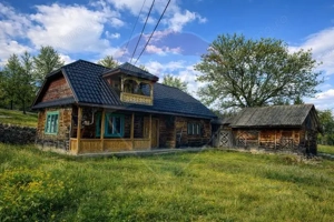 Casa traditionala+teren 9.035mp in Breb,Maramures