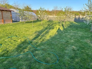 Casa + Teren Brebeni - 8000 metri patrati - 10 minute de Slatina - imagine 4