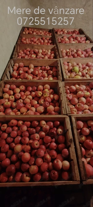 Mere diverse sortimente 