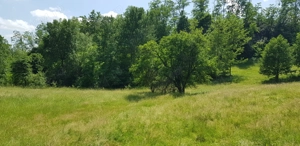 Proprietate 29.000 mp lângă Curtea de Argeș, 2 căsuțe, curent electric și apă rețea - imagine 4