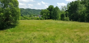Proprietate 29.000 mp lângă Curtea de Argeș, 2 căsuțe, curent electric și apă rețea - imagine 5