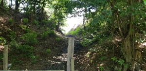 Proprietate 29.000 mp lângă Curtea de Argeș, 2 căsuțe, curent electric și apă rețea - imagine 9