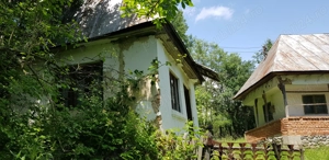 Proprietate 29.000 mp lângă Curtea de Argeș, 2 căsuțe, curent electric și apă rețea - imagine 8