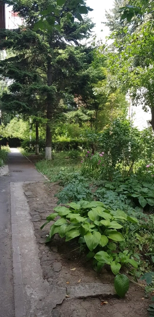 Inchiriez ap. 2 cam decomandat, et.1, nemobilat, Baneasa, termen lung - imagine 10