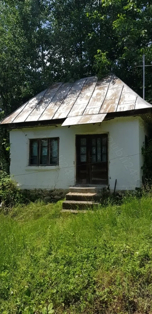 Proprietate 29.000 mp lângă Curtea de Argeș, 2 căsuțe, curent electric și apă rețea - imagine 7