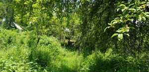 Proprietate 29.000 mp lângă Curtea de Argeș, 2 căsuțe, curent electric și apă rețea - imagine 10