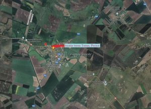 122 ari in Turnu, front 60 m la DN 7B, 15 km de Arad, 1 km de vama - imagine 2