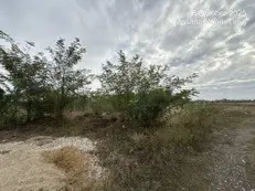 Licitatie publica ANABI - Teren situat în localitatea Albina, comuna Moșnița, jud. Timiș- redus cu 5 - imagine 4