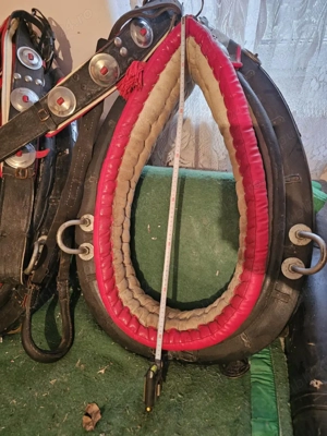 juguri cai - imagine 5