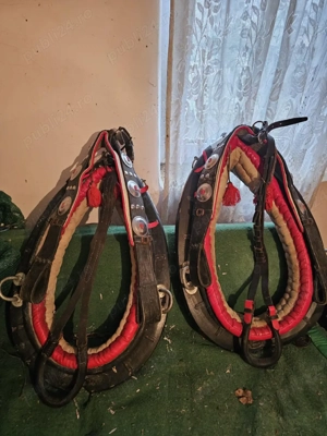 juguri cai - imagine 3