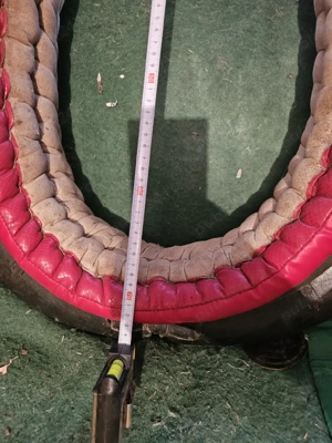 juguri cai - imagine 4