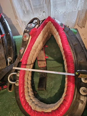 juguri cai - imagine 2