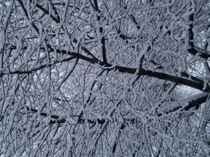 Pensiune de închiriat - imagine 3