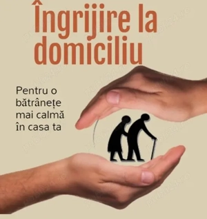 Ingrijire la domiciliu 