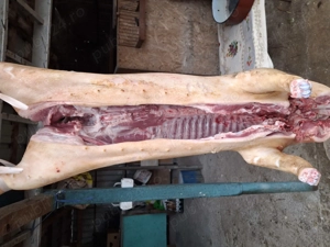 purcei, grasuni carcasa rotisor - imagine 4