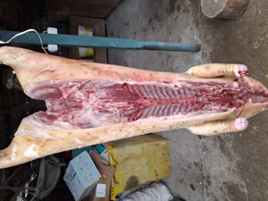 purcei, grasuni carcasa rotisor - imagine 5