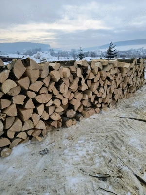 vand lemne de foc esenta tare carpen sau fag