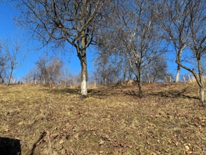 Casa gospodarului, bine întreținută, cu teren generos   Comarnic - imagine 7