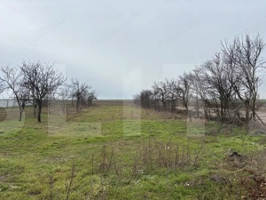 Proprietate cu livada de vanzare 1500mp , aproape de Arad - imagine 2