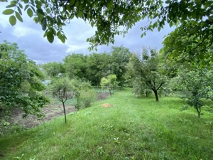 Proprietate speciala: Casa individuala 200 mp utili si 2550 mp teren, Oasului - imagine 4