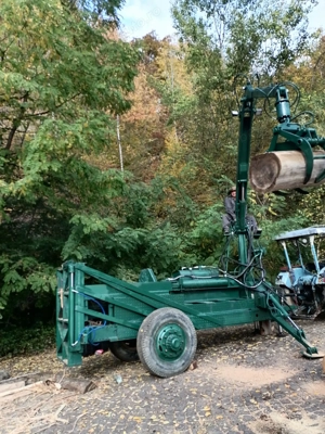 Despicator hidraulic orizontal - imagine 7