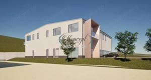 Teren industrial cu autorizatie hala, Valea Chintaului - imagine 2