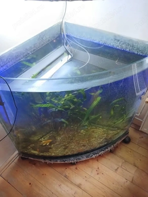 Vand acvariu complet,reducere de preţ - imagine 3