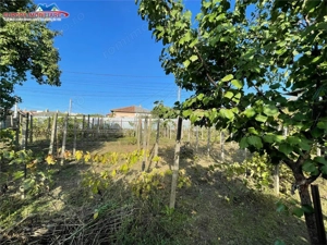 Casa de vanzare zona Pacii Tulcea - imagine 3