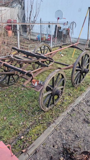 Trasura rustica decorativa 