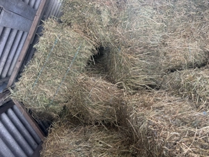 Vând baloți de lucernă  - imagine 2