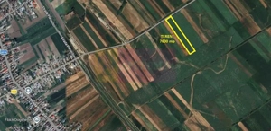 Cosoba, teren 7600 mp intravilan pe str Guliei