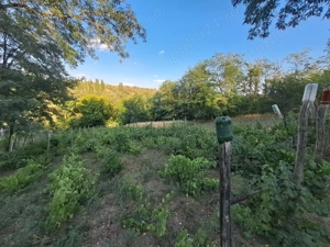 Casa batraneasca Băneasa jud. Galați - imagine 4