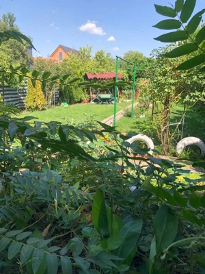 De inchiriat jumatate de casa Sagului-Chisodei - imagine 4