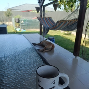 Casa individuala toate utilitățile ready to move in - imagine 3