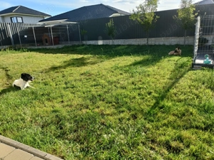 Casa individuala toate utilitățile ready to move in - imagine 10