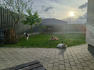 Casa individuala toate utilitățile ready to move in - imagine 8