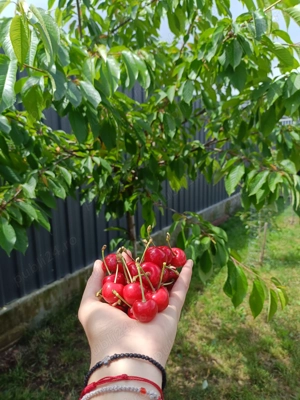 Casa individuala toate utilitățile ready to move in - imagine 9