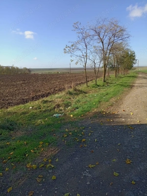 vand teren  - imagine 4