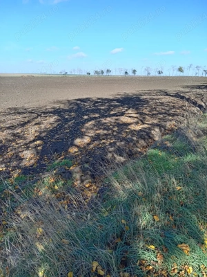 vand teren  - imagine 5