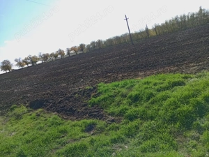 vand teren  - imagine 3