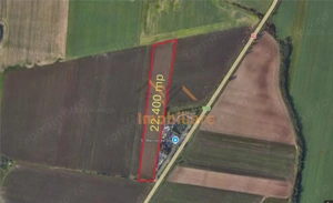 TEREN | 22.400 MP | CALEA ARADULUI | AEROPORT | ORADEA - imagine 2