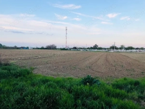  Închiriere teren intravilan   2.500 mp   Gologanu, jud. Vrancea