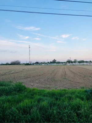  Închiriere teren intravilan   2.500 mp   Gologanu, jud. Vrancea - imagine 3