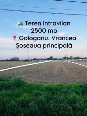  Închiriere teren intravilan   2.500 mp   Gologanu, jud. Vrancea - imagine 4