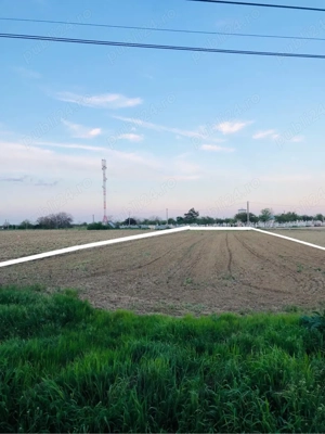 Închiriere teren intravilan   2.500 mp   Gologanu, jud. Vrancea - imagine 2