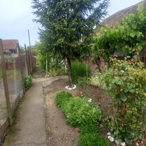 casa de vanzare  - imagine 9